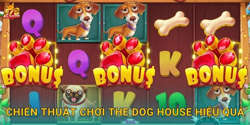 The Dog House F79 - Ngôi Nhà Chó Cưng Đáng Yêu 3 Chiến Thuật Chơi The Dog House Hiệu Quả