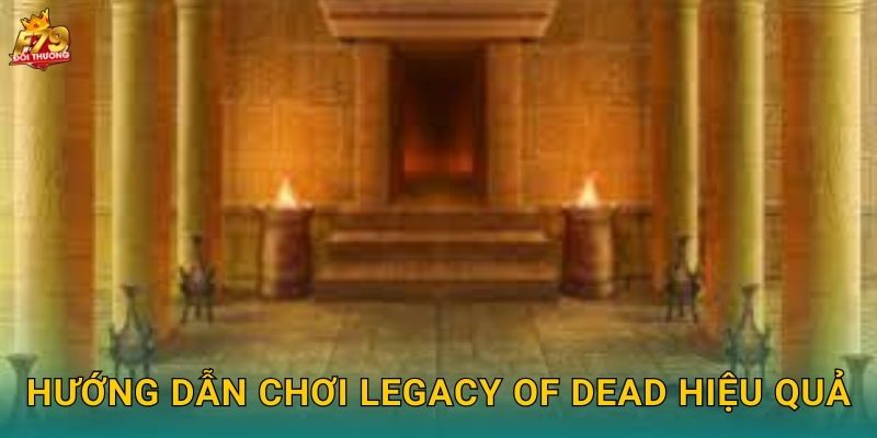 Hướng Dẫn Chơi Legacy of Dead Hiệu Quả