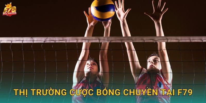 Thị Trường Cược Bóng Chuyền Tại F79