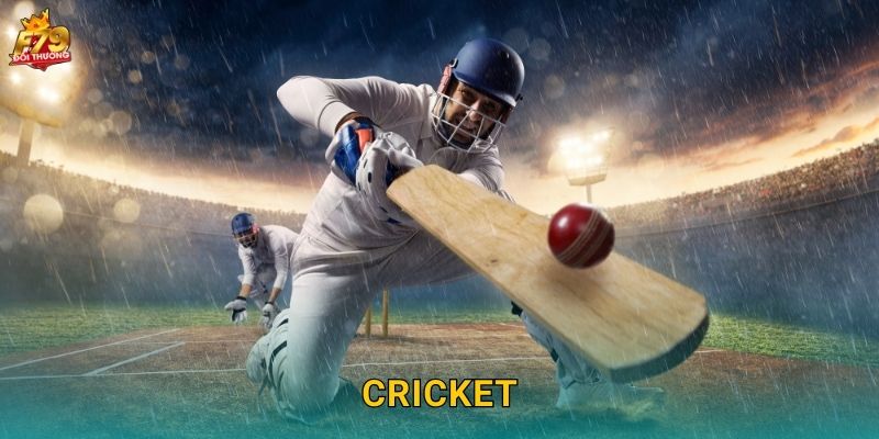 Cricket F79 – Cá Cược Giải Ấn Độ Và Thế Giới