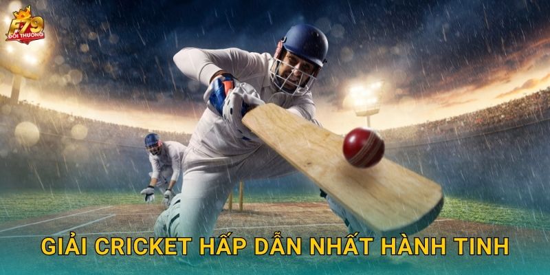 Giải Cricket Hấp Dẫn Nhất Hành Tinh