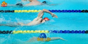 Bơi Lội F79 – Cược Olympic Và Giải Thế Giới
