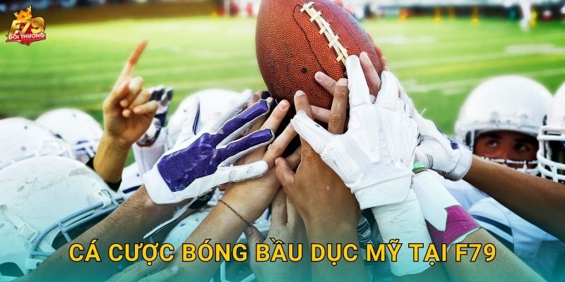 Cá Cược Bóng Bầu Dục Mỹ Tại F79