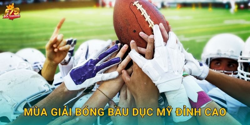 Mùa Giải Bóng Bầu Dục Mỹ Đỉnh Cao