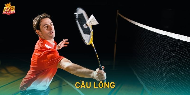 Cầu Lông F79 – Cược Giải Thế Giới Và Olympic