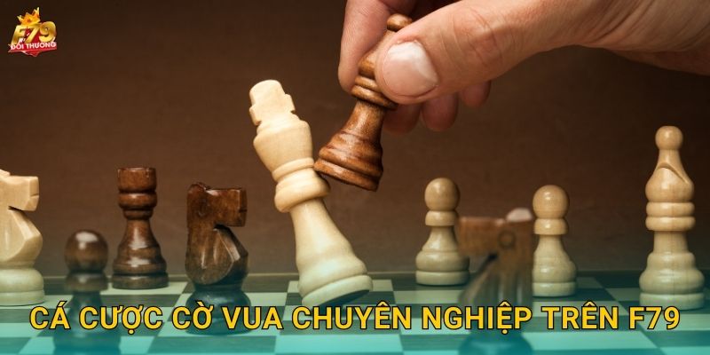 Cá Cược Cờ Vua Chuyên Nghiệp Trên F79