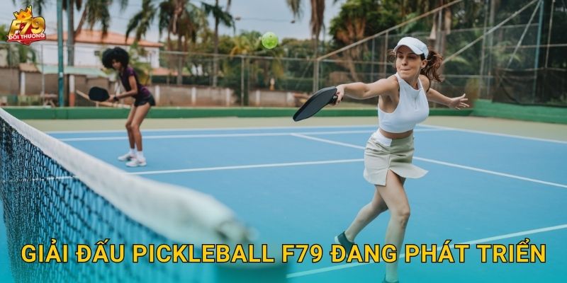 Pickleball F79 - Môn Thể Thao Hot Trend Bắc Mỹ 3 Giải Đấu Pickleball F79 Đang Phát Triển